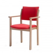 Sillón geriátrico Modelo 30