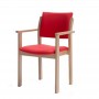 Sillón geriátrico Modelo 30