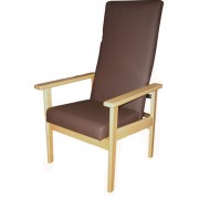 Sillón geriátrico Modelo 30