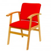 Sillón Geriátrico Modelo QC-110
