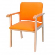 Sillon Respaldo Bajo Modelo QC-301